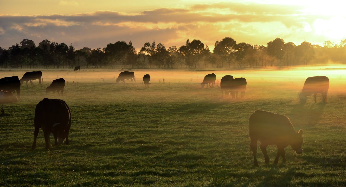 for ag loans